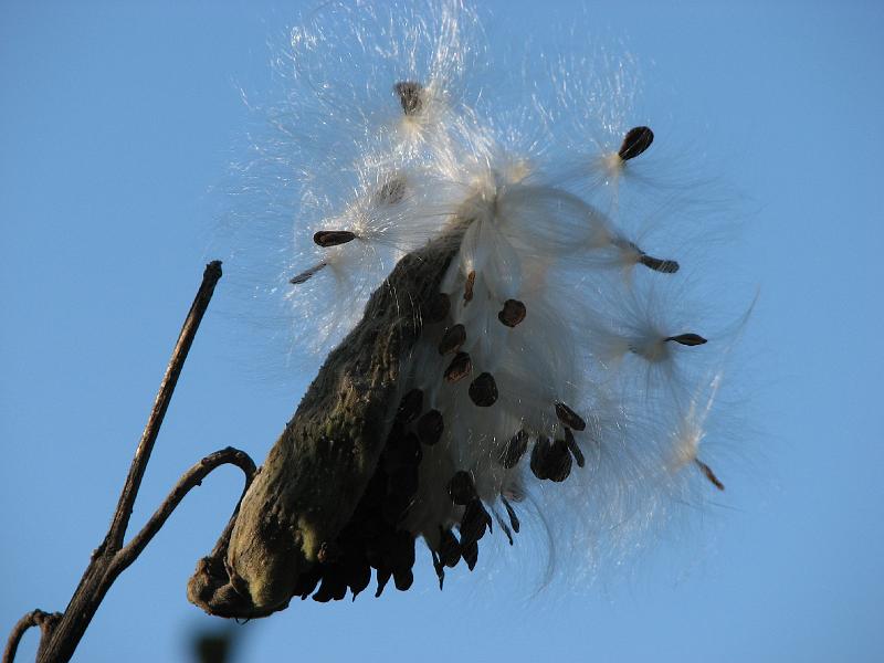 2008-10-11_Tiverton_Trustom 071.jpg